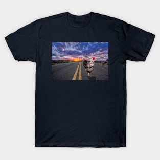 Rise and Shine T-Shirt